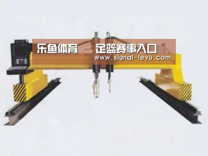 产品名称十七