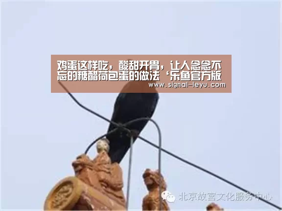 乐鱼app手机版下载