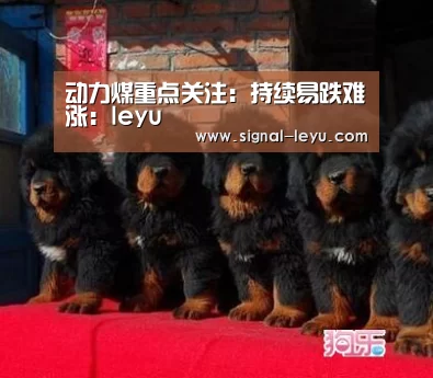 乐鱼app手机版下载