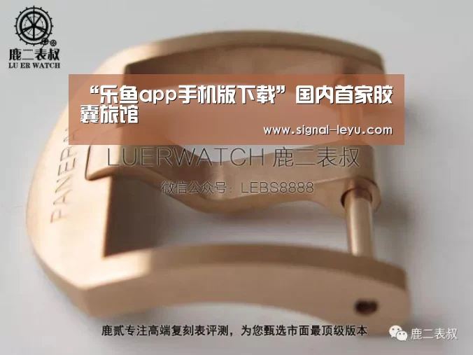 “乐鱼app手机版下载”国内首家胶囊旅馆(图2)