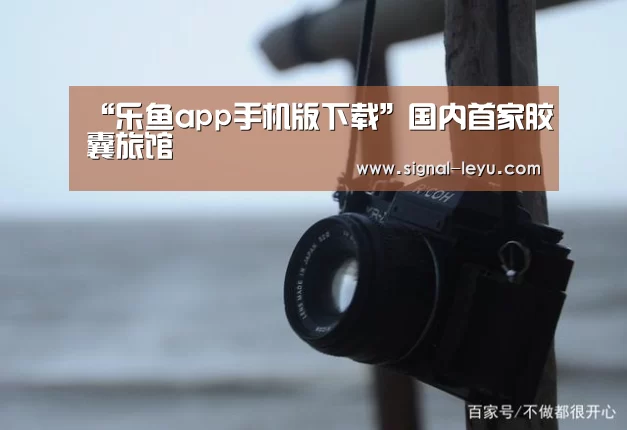 乐鱼体育平台网址