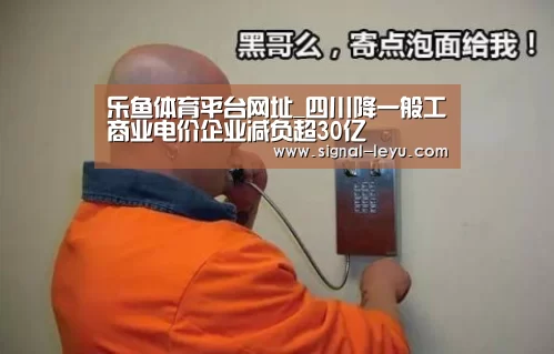 乐鱼体育平台网址_四川降一般工商业电价企业减负超30亿(图2) 乐鱼体育平台网址_四川降一般工商业电价企业减负超30亿(图2)