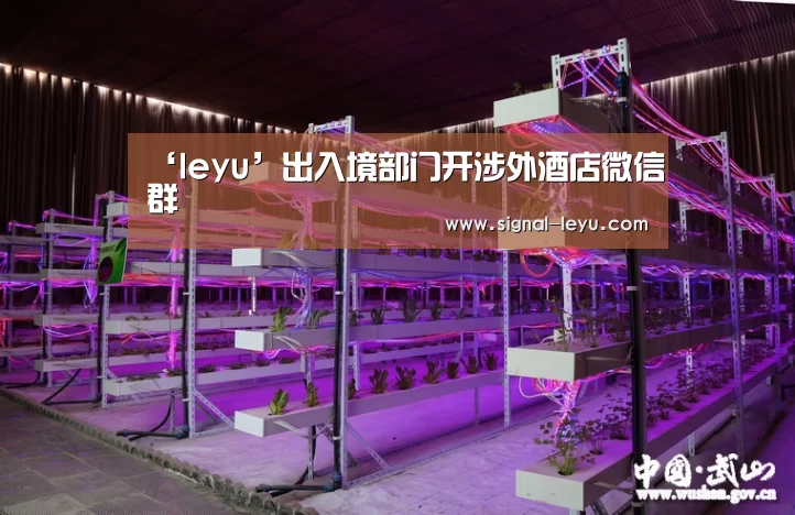 乐鱼app手机版下载