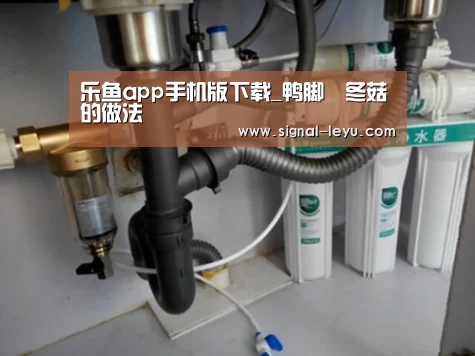 乐鱼app手机版下载_鸭脚燜冬菇的做法(图1) 乐鱼app手机版下载