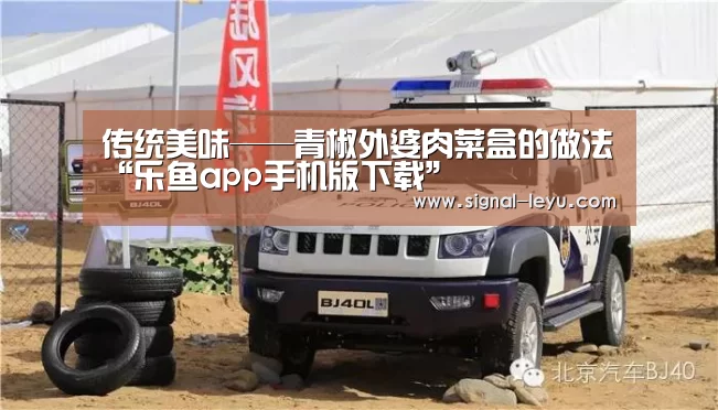传统美味——青椒外婆肉菜盒的做法“乐鱼app手机版下载”(图1) 乐鱼app手机版下载