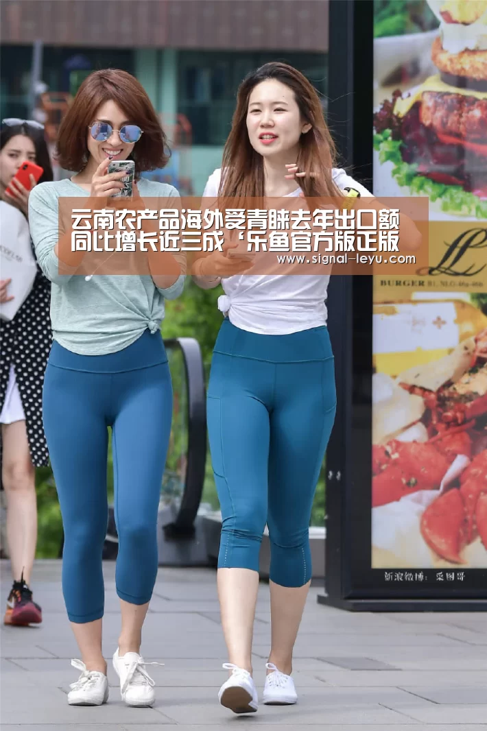 乐鱼app手机版下载