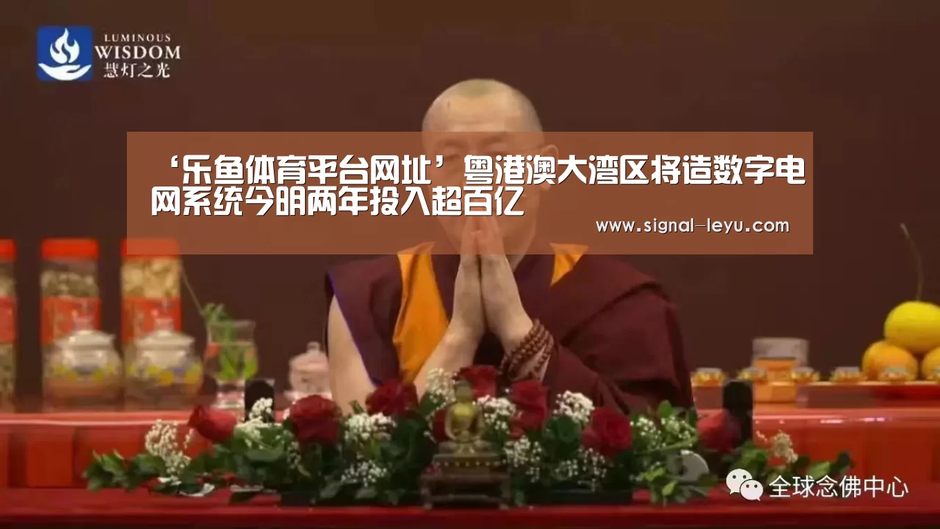‘乐鱼体育平台网址’粤港澳大湾区将造数字电网系统今明两年投入超百亿(图2) 乐鱼体育平台网址
