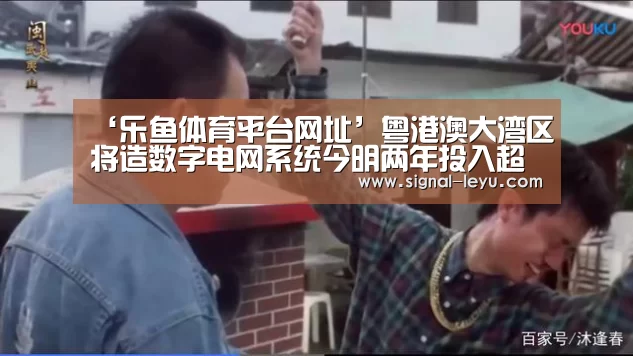‘乐鱼体育平台网址’粤港澳大湾区将造数字电网系统今明两年投入超百亿(图3) 乐鱼app手机版下载