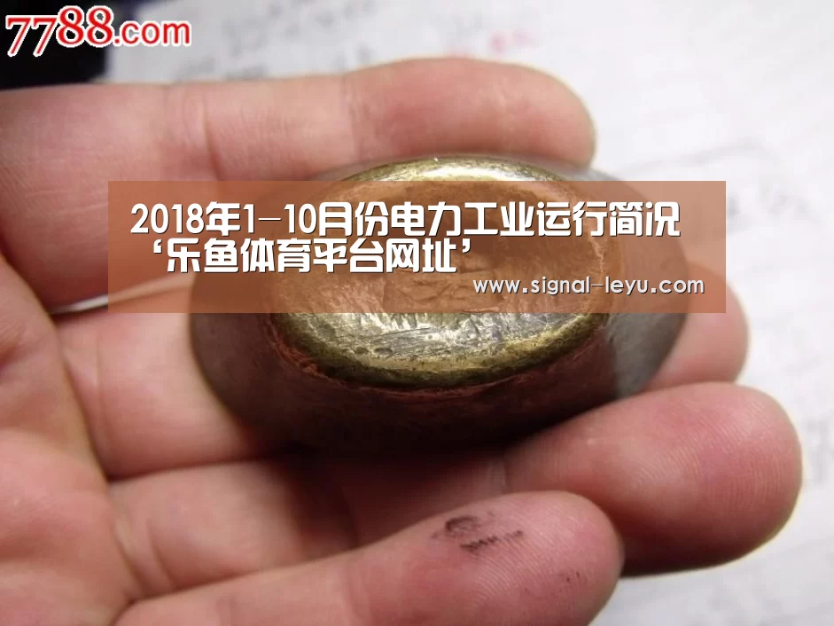 2018年1-10月份电力工业运行简况‘乐鱼体育平台网址’(图3) 乐鱼app手机版下载