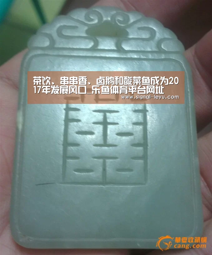 茶饮、串串香、卤鹅和酸菜鱼成为2017年发展风口_乐鱼体育平台网址(图3) 乐鱼体育平台网址