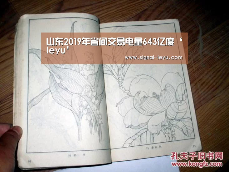 山东2019年省间交易电量643亿度‘leyu’(图2) 乐鱼体育平台网址